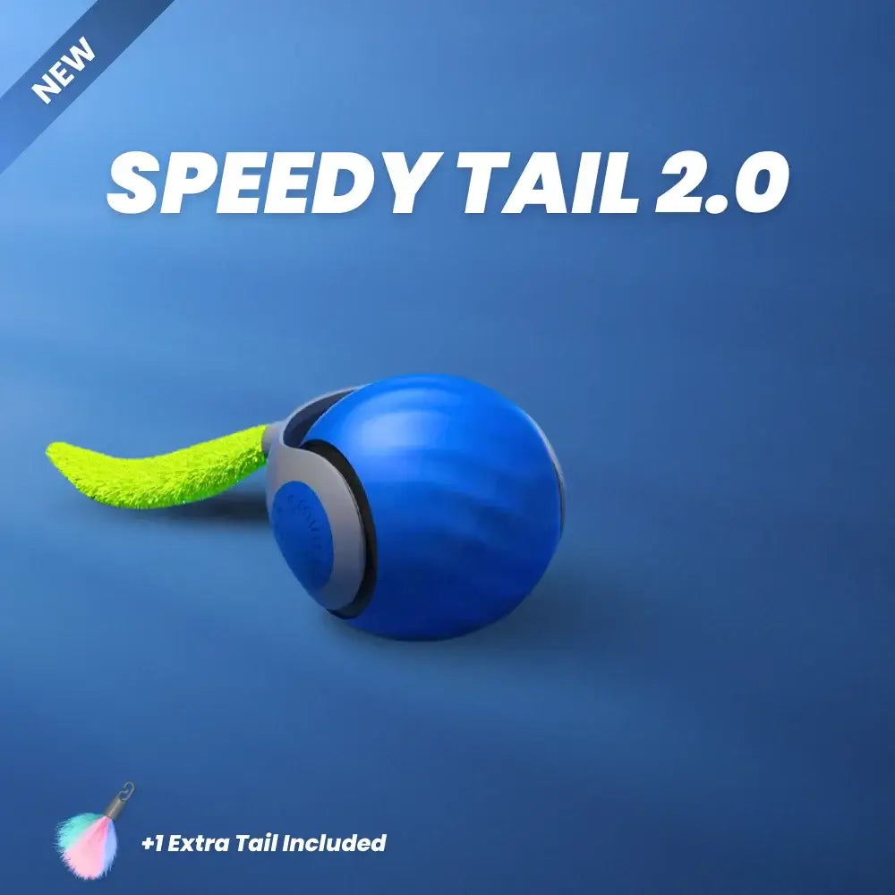 Speedy Tail - 2.0 (50% OFF)
