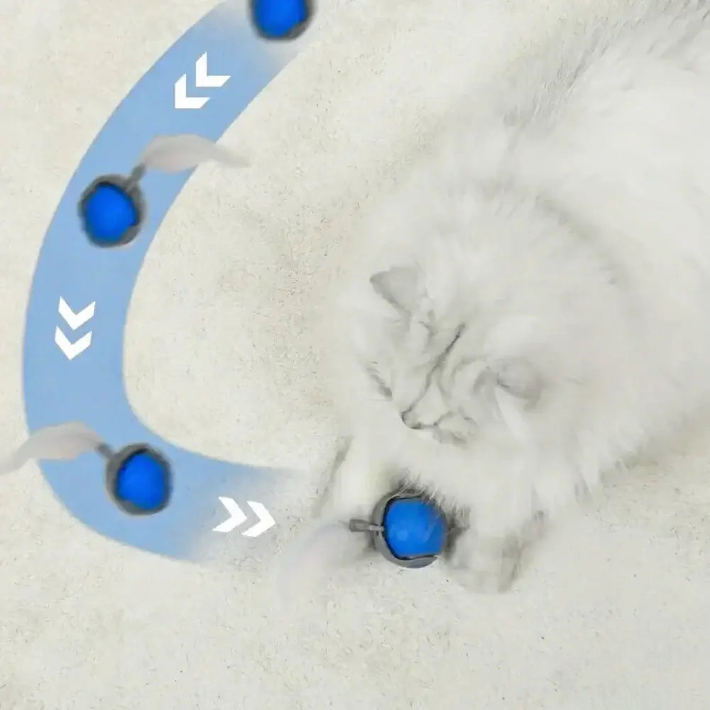 Speedy Tail - 2.0 (50% OFF)
