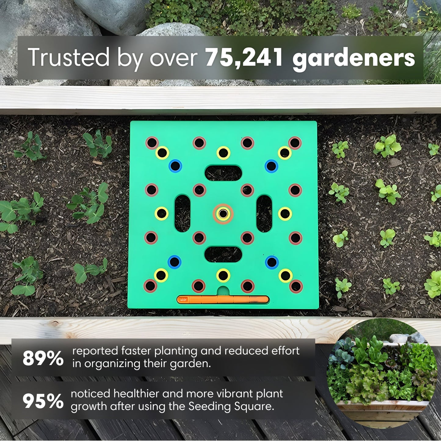 Planting Grid - Gardening Precision (50% OFF)
