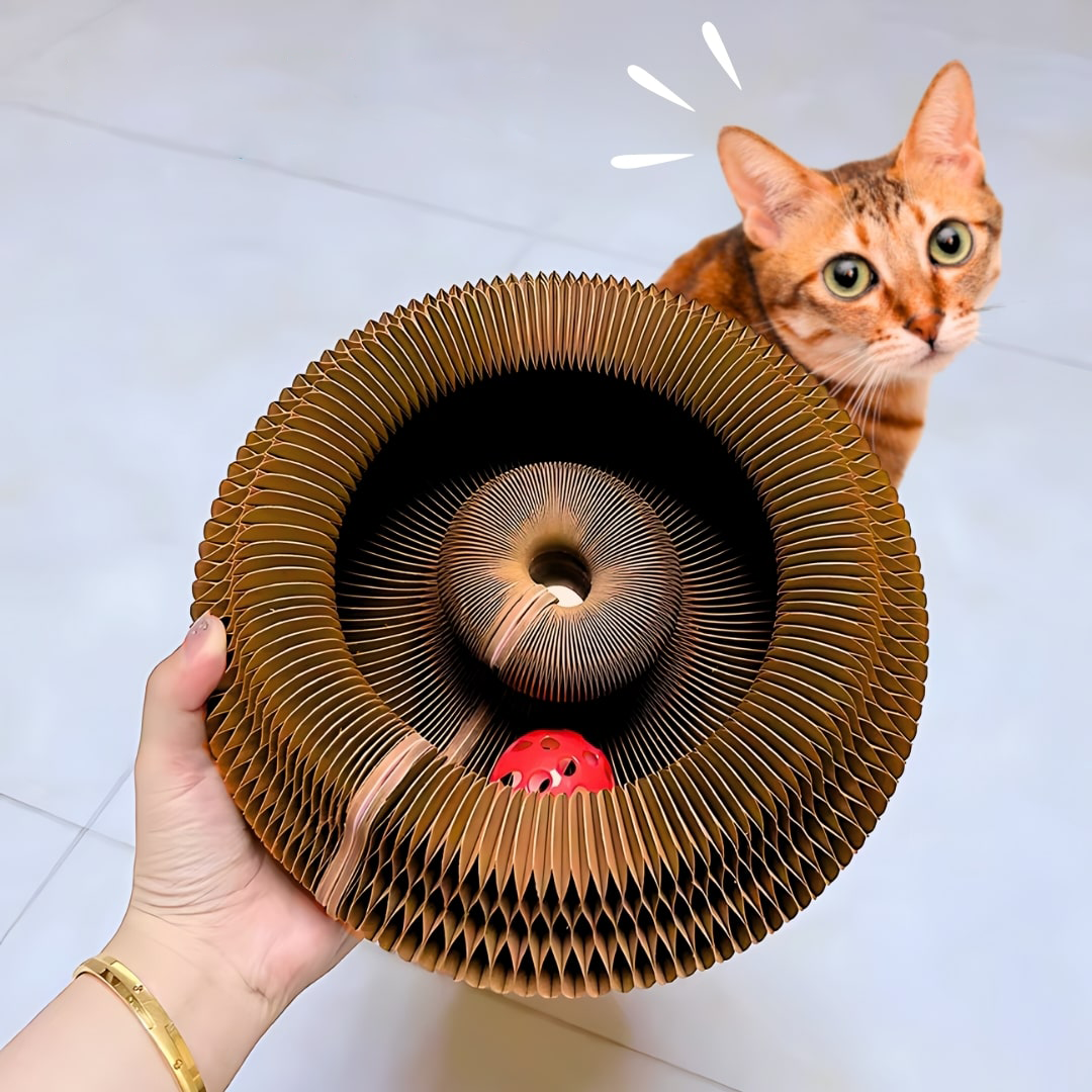 Kitty Kurlz - Scratch Cat Toy (50% OFF)