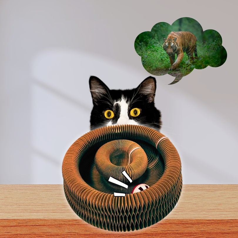 Kitty Kurlz - Scratch Cat Toy (50% OFF)