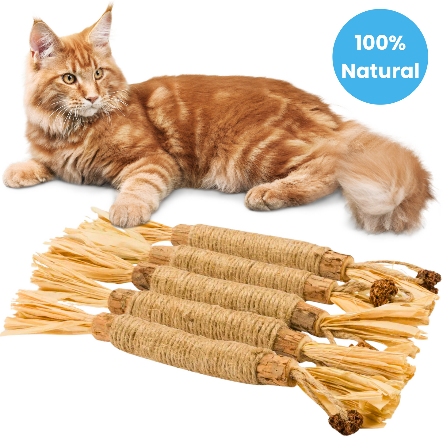 SilverSmile - Silvervine Dental Sticks (50% OFF)
